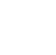 MEDILIT Medical AI Scribe