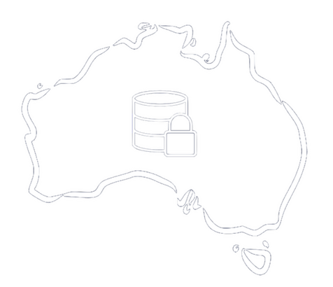 MEDILIT process all data locally