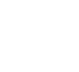 MEDILIT Medical AI Scribe